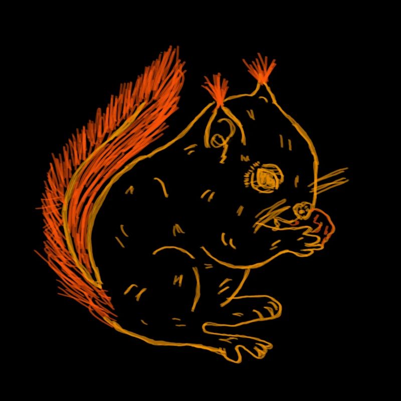 Eichhörnchen