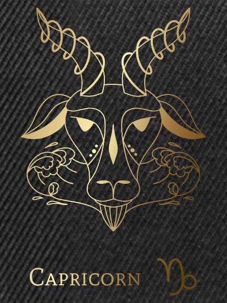 Capricorn/Steinbock