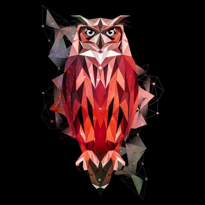 Eule T-Shirt I Cool Low Poly Eule Vogel Witziges S