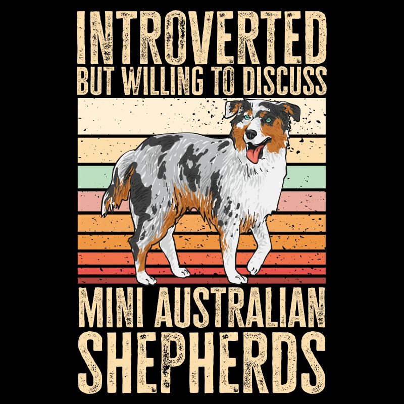 Miniature Australian Shepherd
