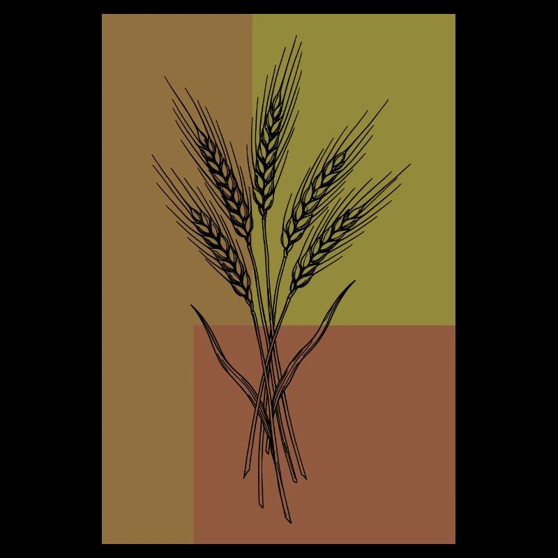 Wheat Ears Line Art – Botanical Design
