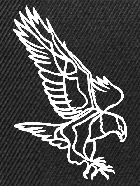 Weißer Adler im Flug