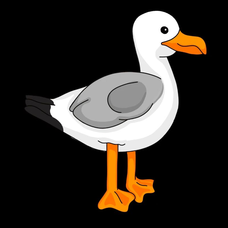 Möwe