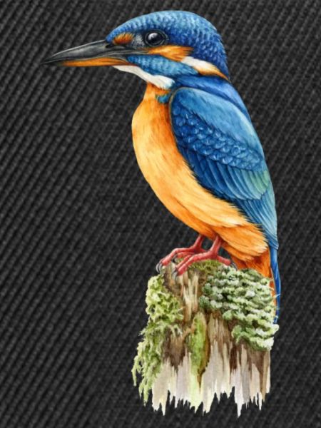 Eisvogel