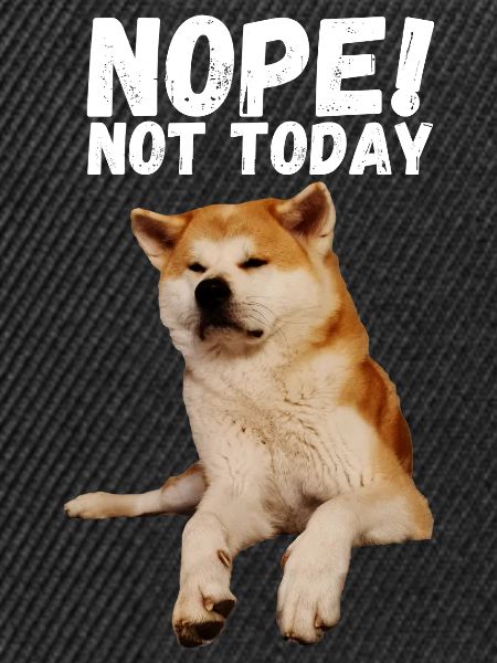 Akita Nope not today