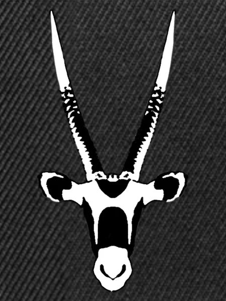 Oryx Antilope
