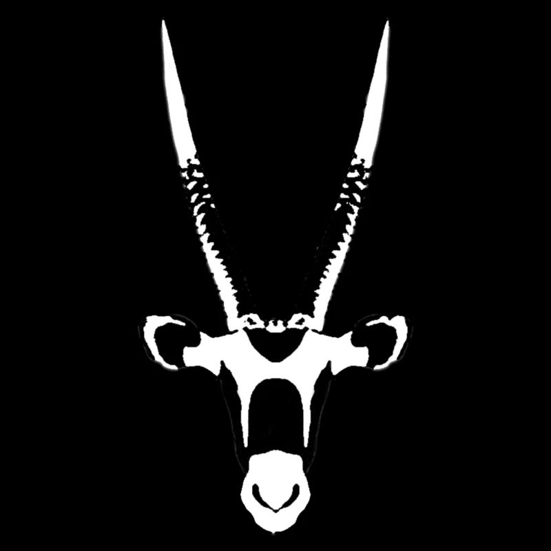 Oryx Antilope
