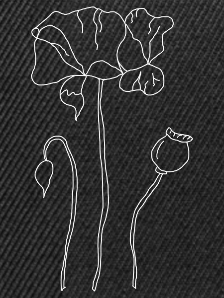 Mohnblume