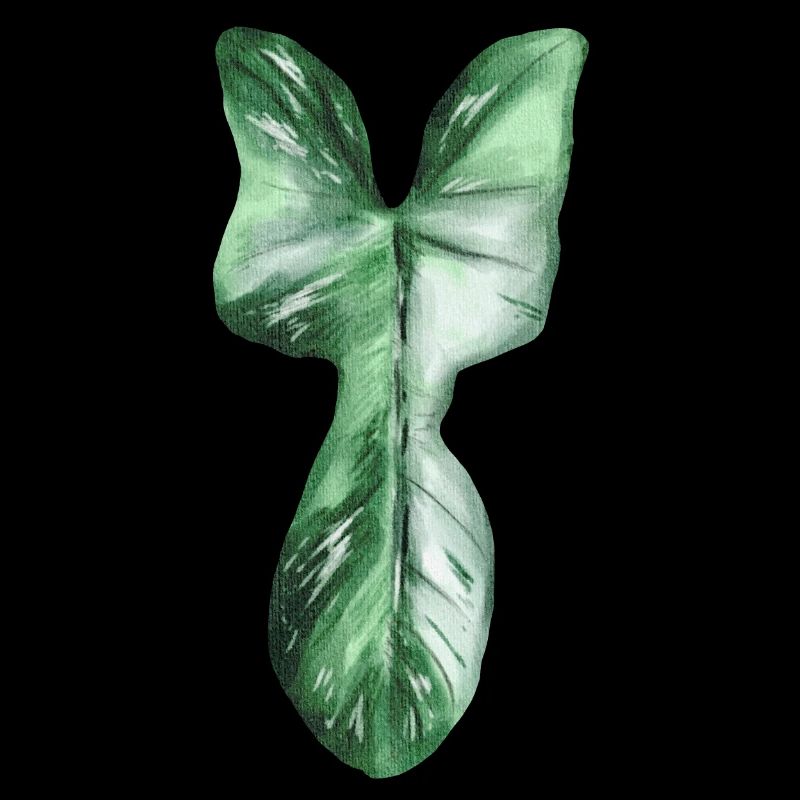 Philodendron Florida Ghost Variegata