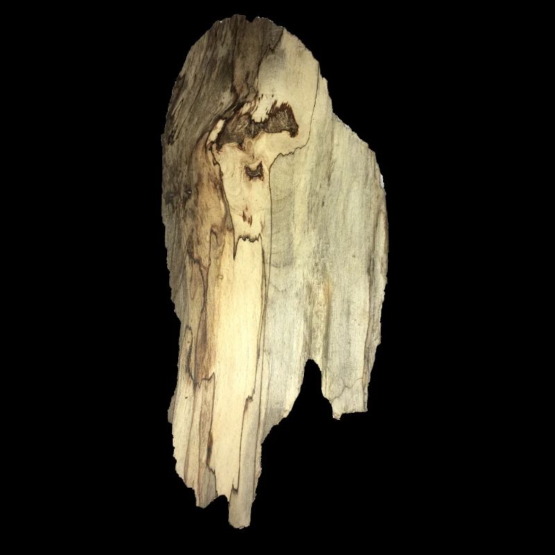 Conception de style mousse d'