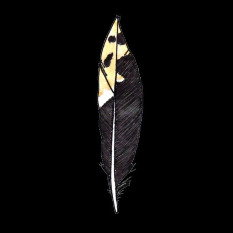 Small feather black hand-drawn (great spotted woodpecker)