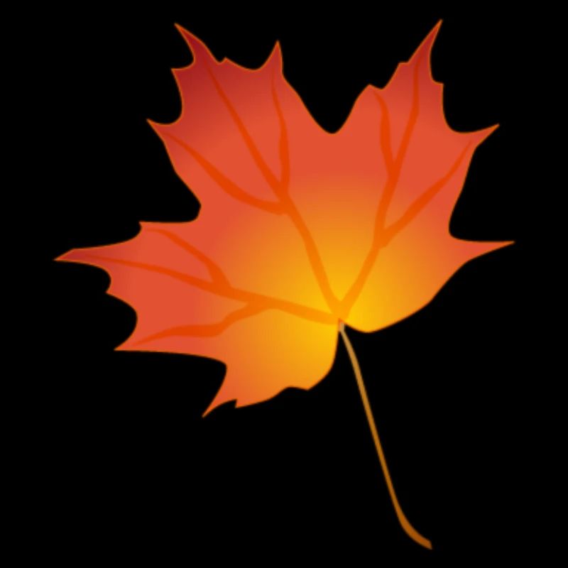 maple