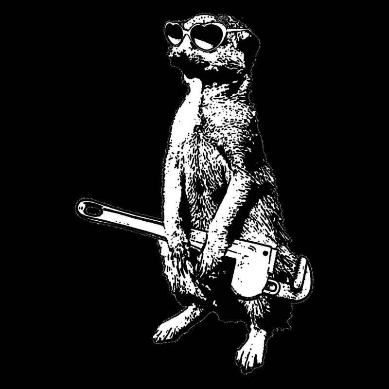 Erdmännchen
