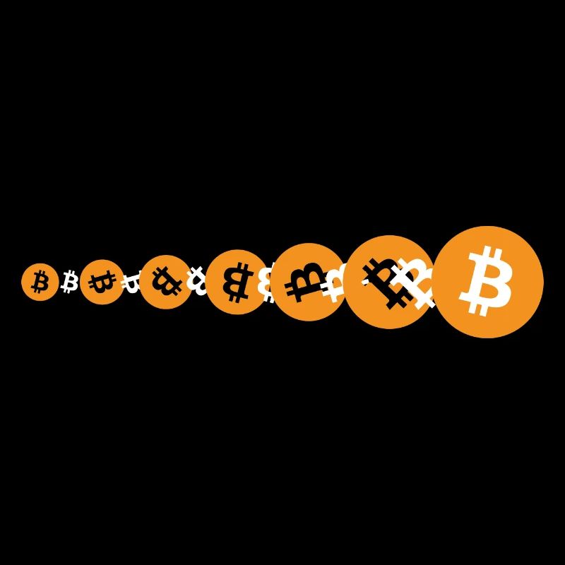 Bitcoin BTC Evolution