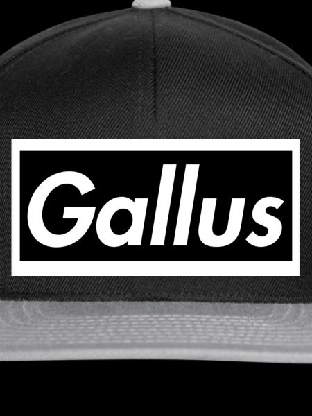 Gallus