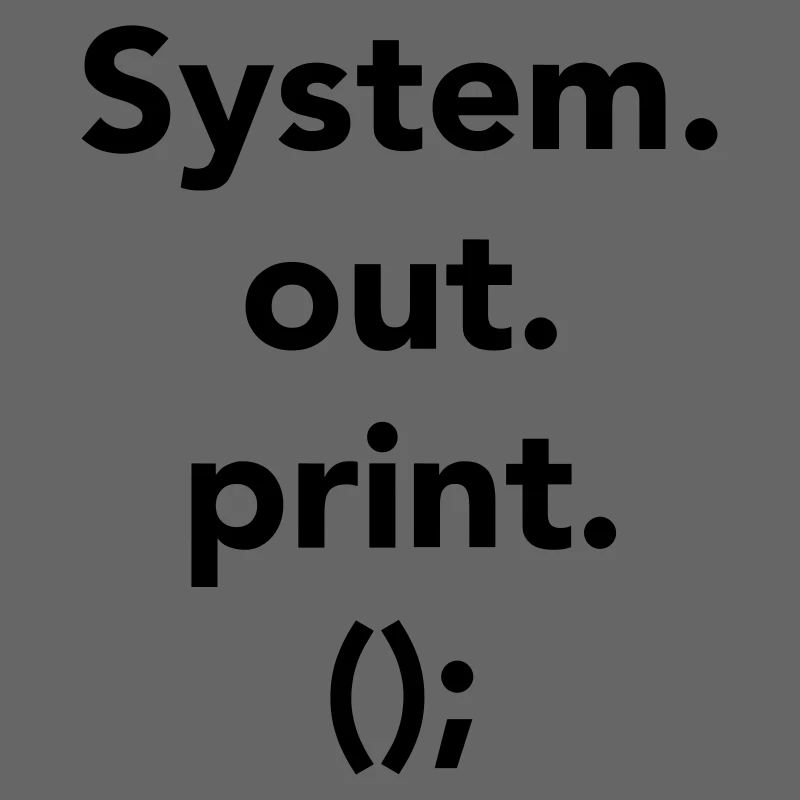 program system out print Java