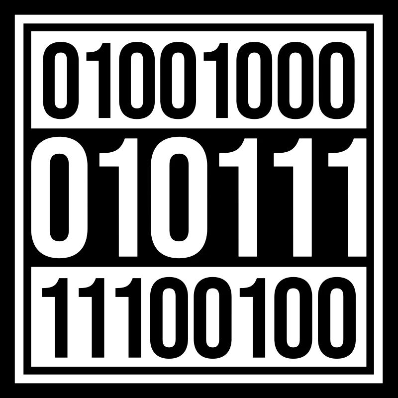 Langage de programme de code binaire