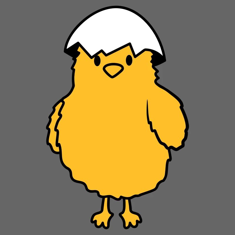 Chicks with eggshell on the head