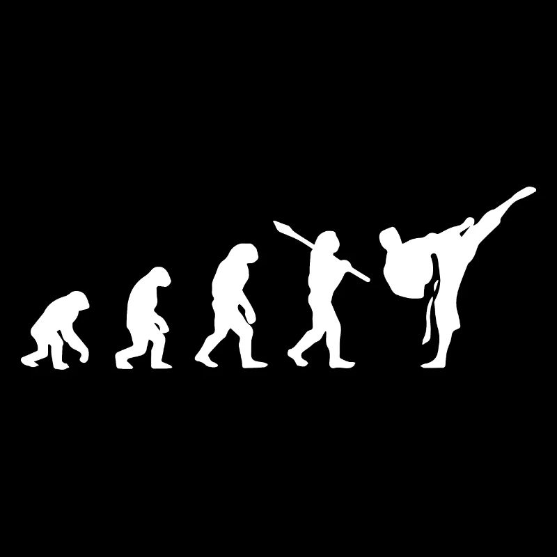 Karate Evolution Entwicklung Kamfkunst