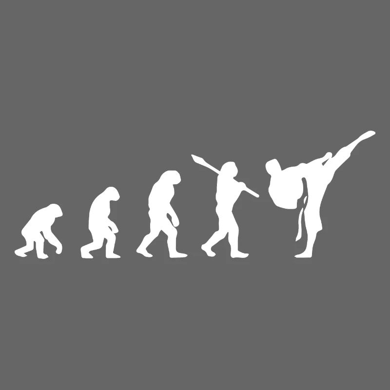 Karate Evolution Development Martial Art