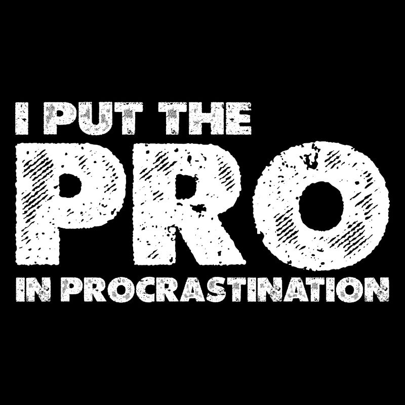 Je mets le pro dans la procrastination 14