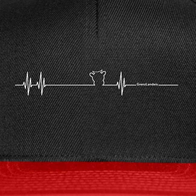 Herzschlag Grenzlandeis