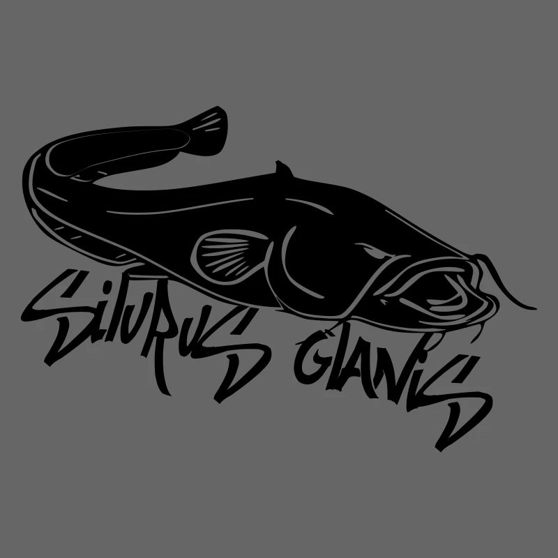 silurus glanis2