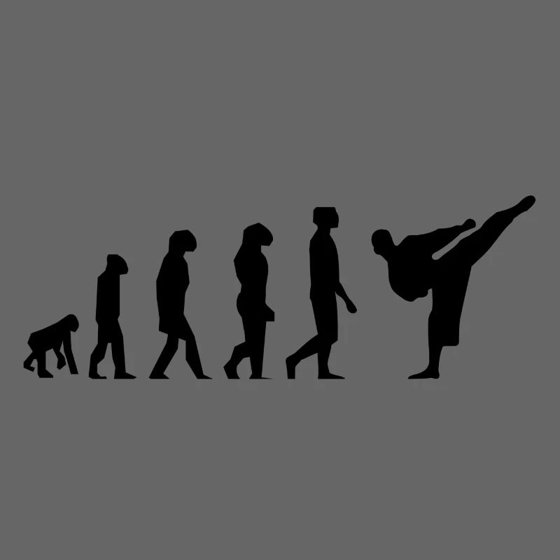 Karaté évolution