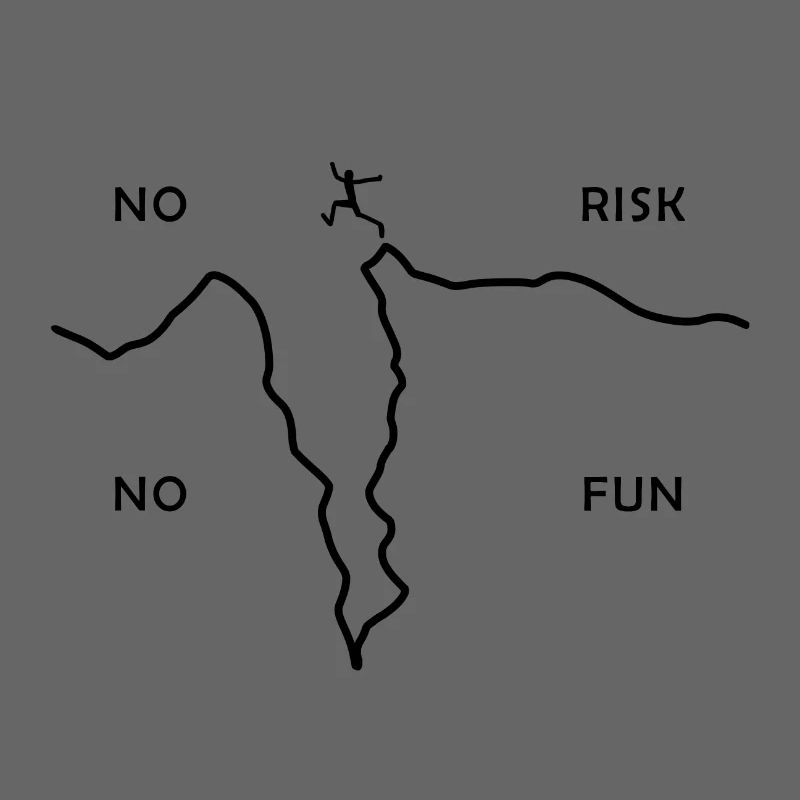 PAS DE RISQUE PAS DE FUN - action - risque