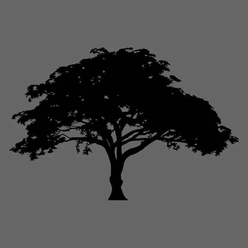 Baum