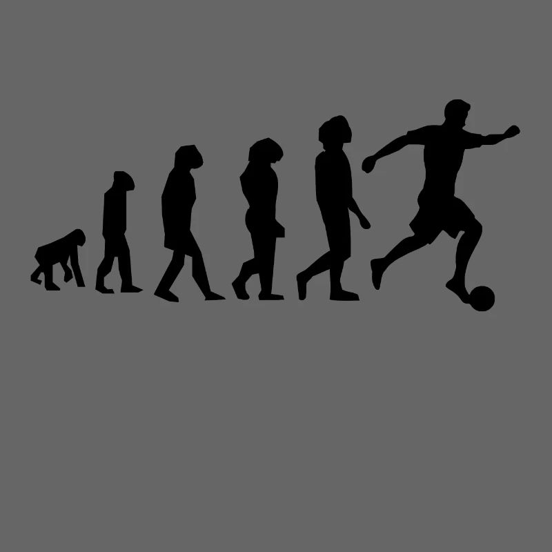 Fussball Evolution