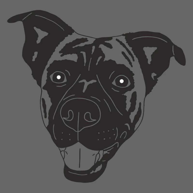 Boxer Schäferhund Mix