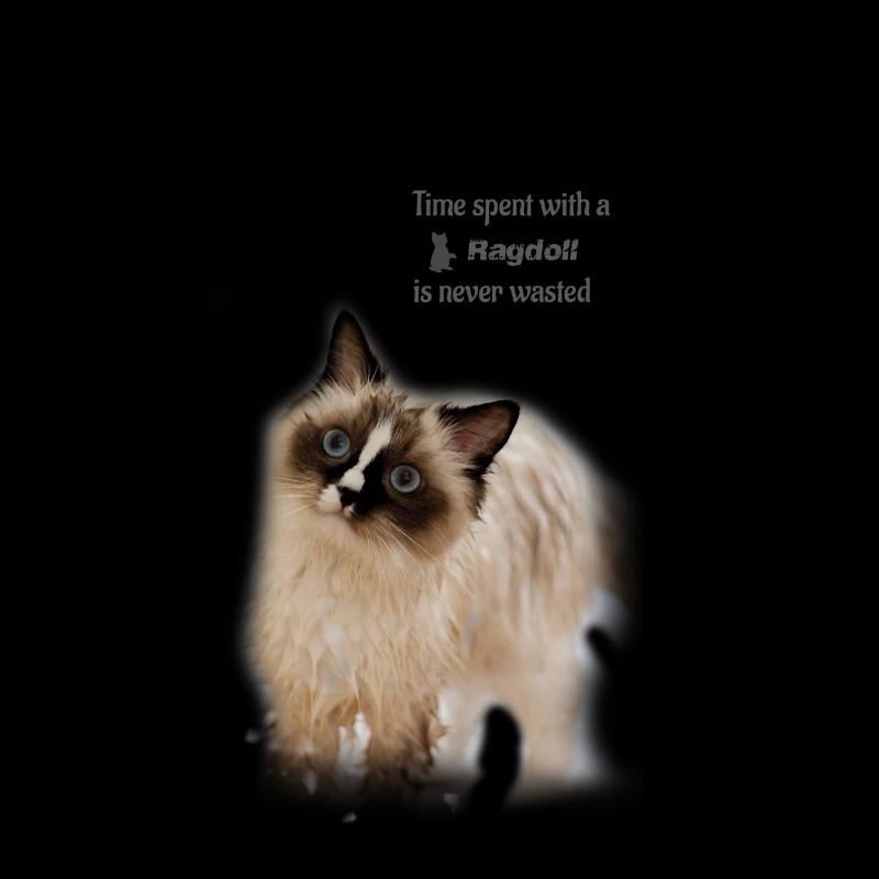 Time spent with a Ragdoll - Geschenkidee