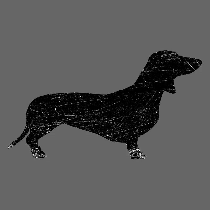 dachshund