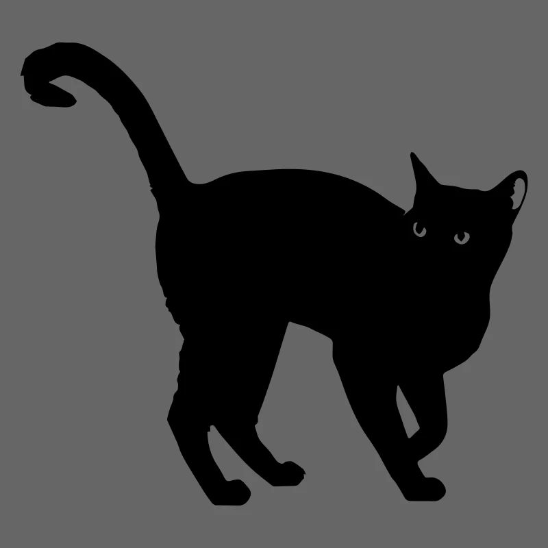 silhouette de chat noir - silhouette de chat noir
