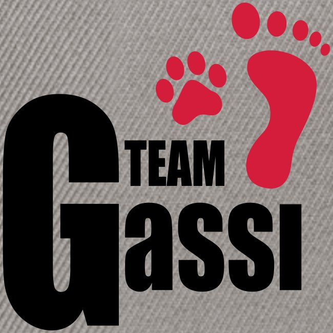 Vorschau: Team Gassi - Snapback Cap
