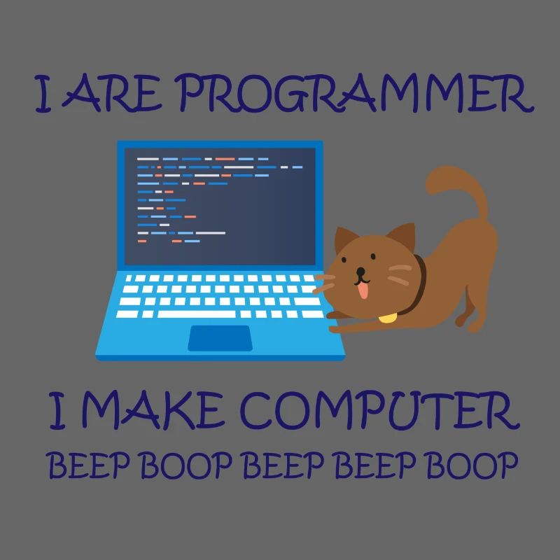 I am Programmer i make Computer Informatiker