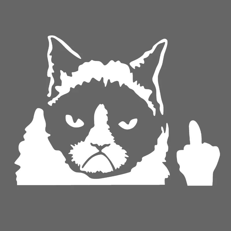 Angry Cat Katze Main Coon Perser Katze Geschenk
