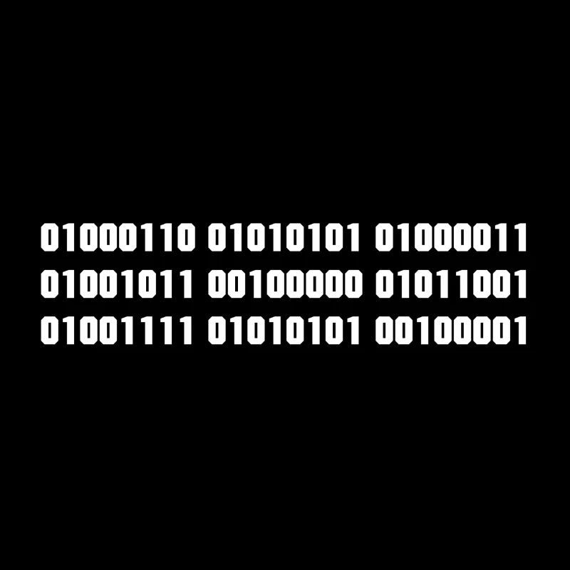 Fuck you binary code