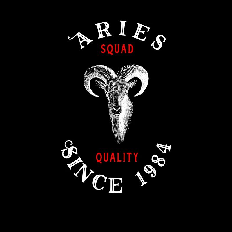 Widder Aries Bock Geschenk Sternzeichen Steinbock