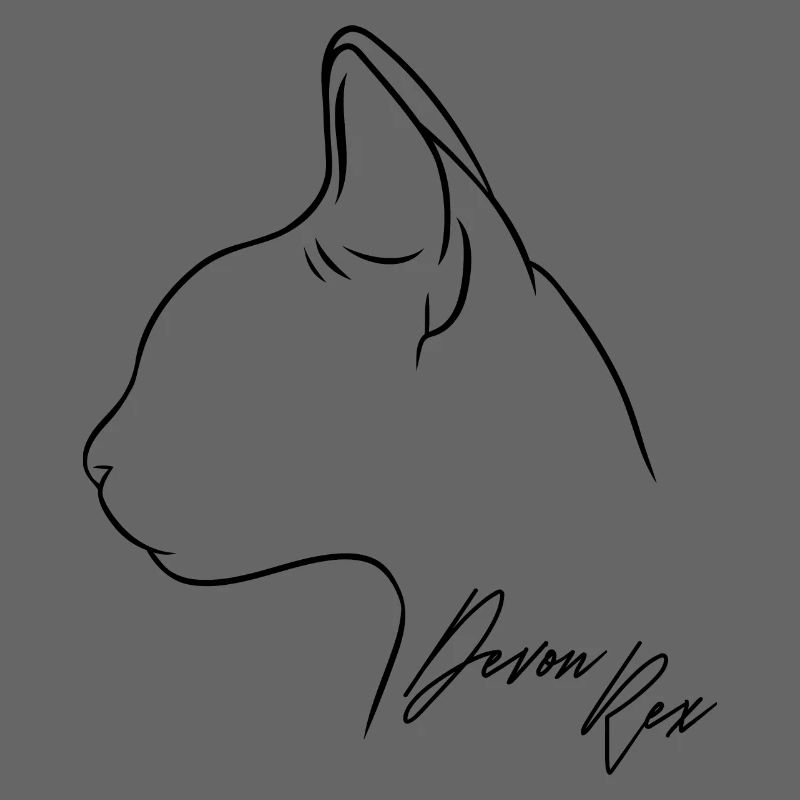 Devon Rex Profile Cat Cat Wilsigns