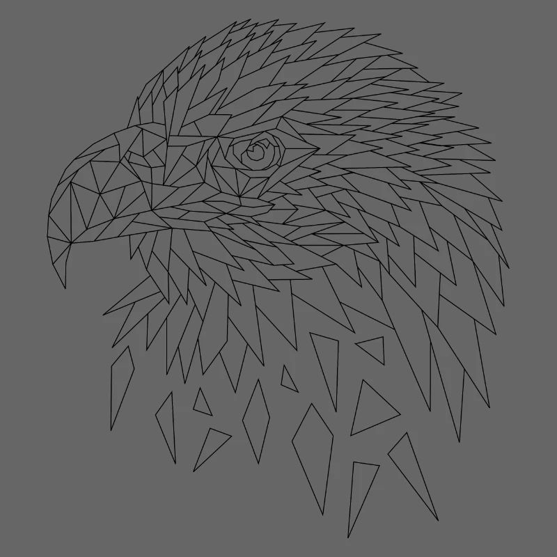 Sea eagle eagle polygons