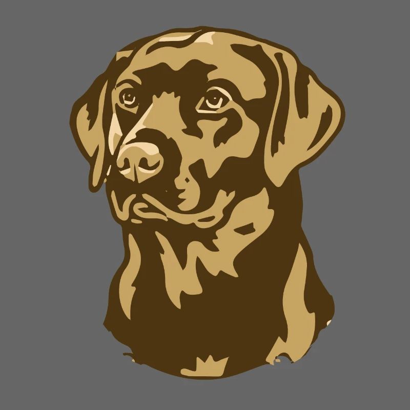Evolution Of Golden Retrievers