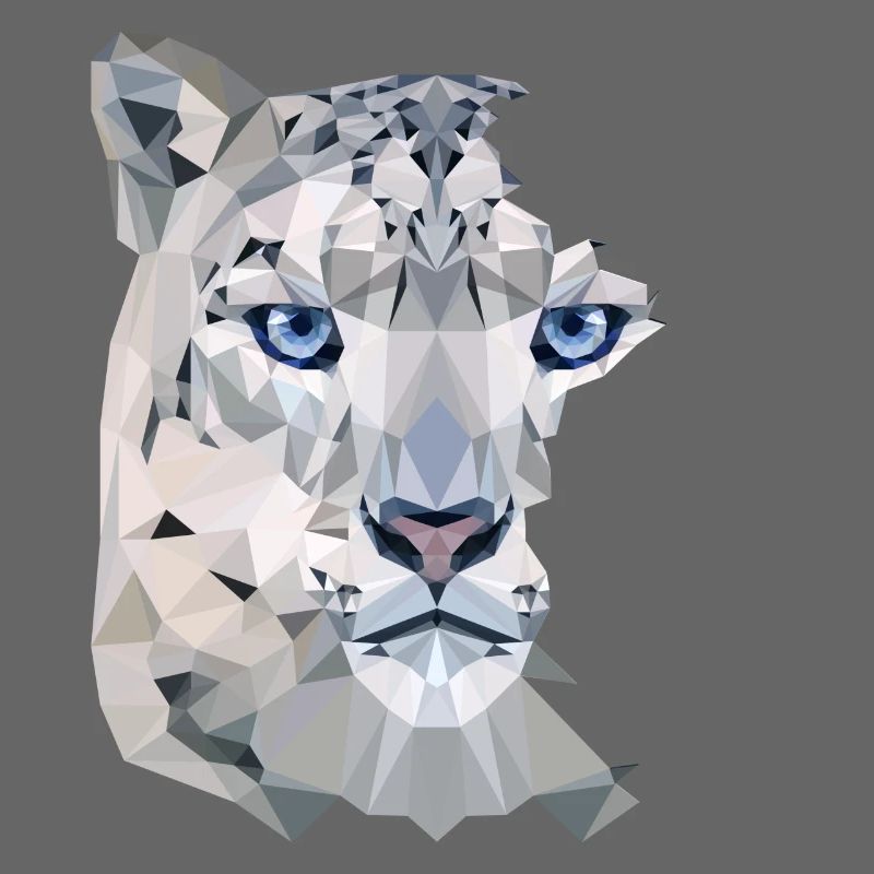Snow Leopard Split