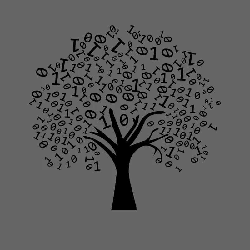 Programmierer Binärer Baum