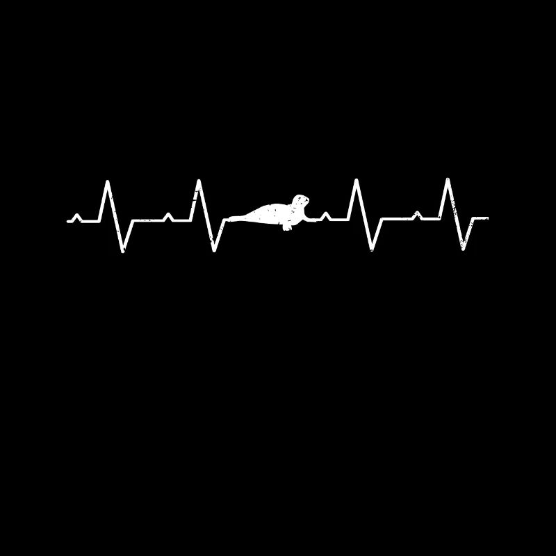 Phoque phoques phoques phoques pho