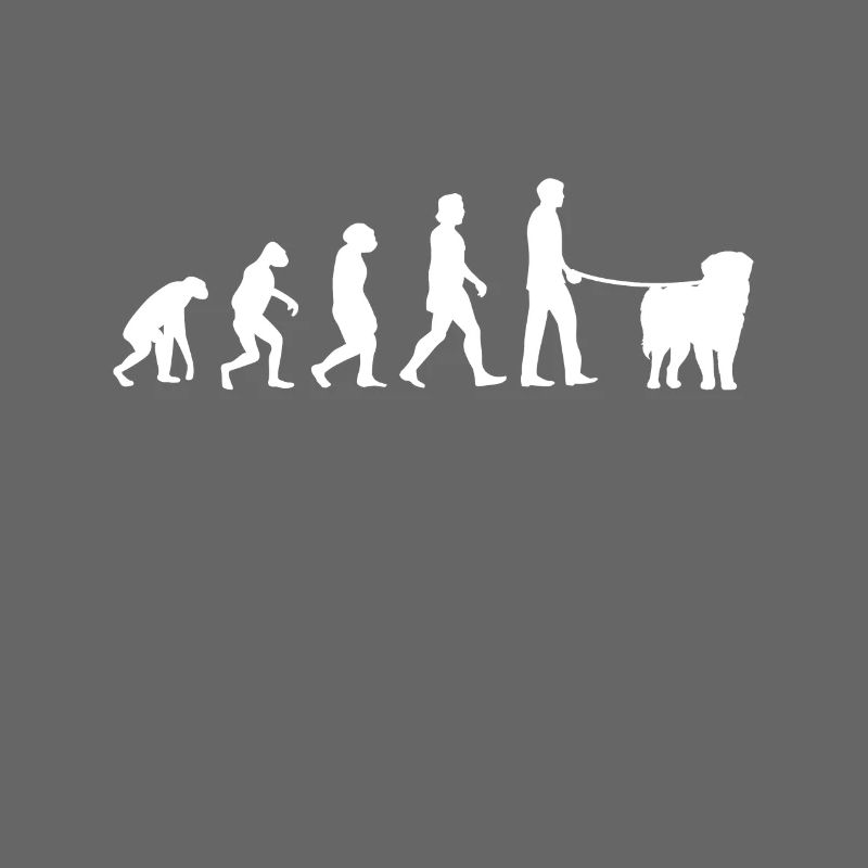 Évolution de Leonberger