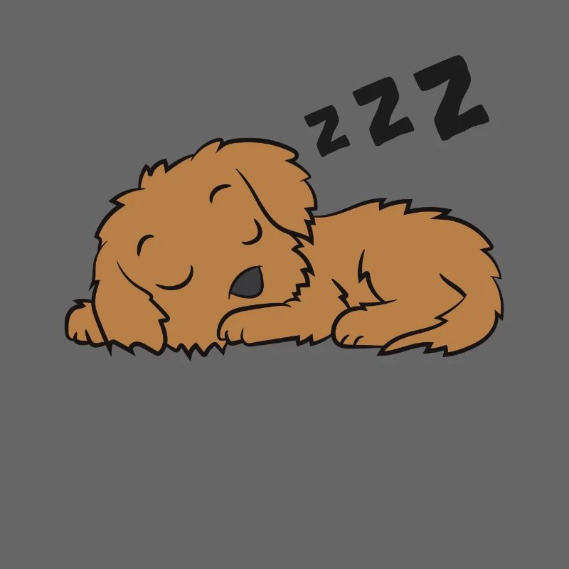 Cockapoo Hund Pyjama Lustig Schlafender Cockapoo