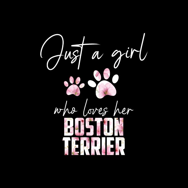 Boston Terrier