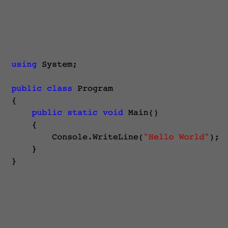 C # .NET Code Hello World Programmer Gift